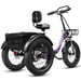Triciclo eléctrico ESKUTE T302 Pro, 250 W, 48 V 20,8 Ah, con bolsa para teléfono, espejos retrovisores y candado de combinación - Violeta