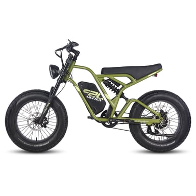 FAFREES F20 Ultra Bicicleta Eléctrica - Motor 750W Batería 48V25AH Autonomía 140KM - Negro Verde