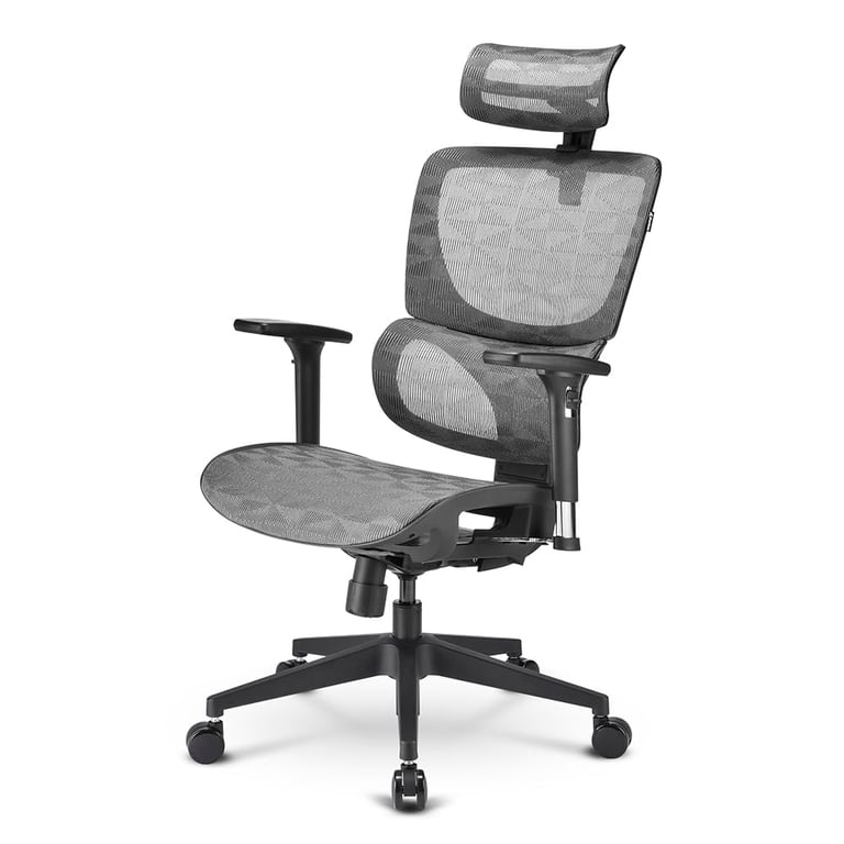 Sharkoon Chaise de bureau OfficePal C30M Neuf