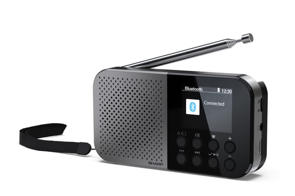 Sharp DR-P520 Personnel Numérique Gris