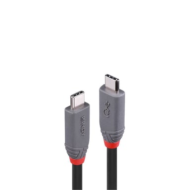 Cable USB 4 Tipo C a C, 40 Gbit/s, Anthra Line, 0,8 m