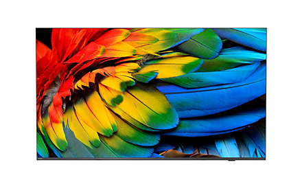 Philips 65HFL6214U/12 165,1 cm (65'') TV 4K Ultra HD Wifi Antracite 400 cd/m²