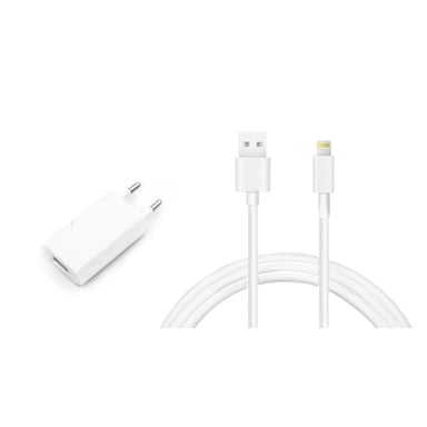 Chargeur iPhone 1 Port USB-A 2.4A iPhone avec 1 Câble iPhone 1.20m Compatible iPhone 11 12 13 SE X 8 7 Plus 6S 5S iPad