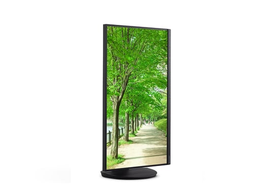 Sharp MultiSync 60006064 pantalla para PC 68,6 cm (27'') 3840 x 2160 Pixeles 4K Ultra HD LCD Negro