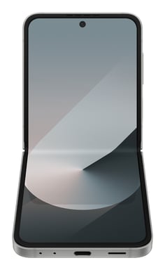 Galaxy Z Flip6 (5G), 256 GB, grigio, sbloccato
