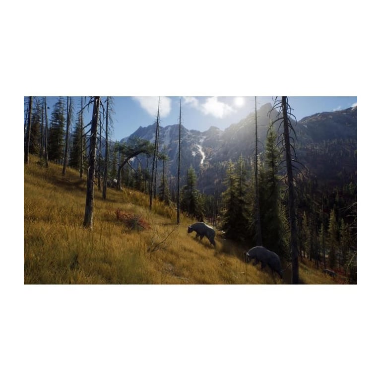 Way of the Hunter Hunting Season One PlayStation 5 - vue 6