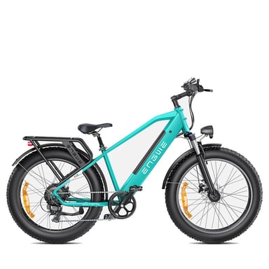 ENGWE E26 Bicicletta elettrica - 250W 768WH Autonomia 140KM Freni a disco - Blu
