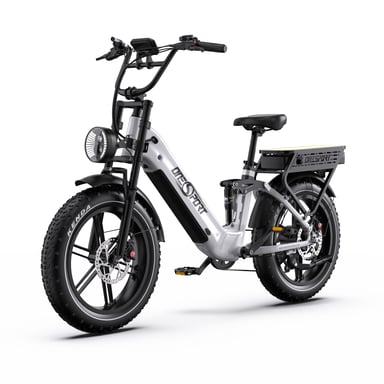 Onesport OT08 Pro 20'' Bici elettrica 500W Doppia batteria 48V 36AH Full Suspension Step-Thru Fat Tire E-Bike