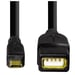 Câble d'adaptation USB 2.0 OTG, micro mâle - femelle A, noir, 0, 15 m