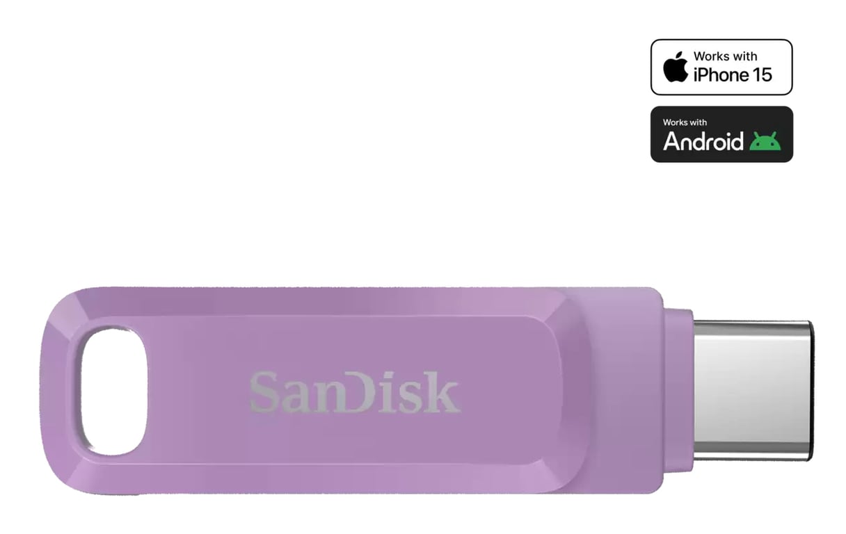 SanDisk Ultra Dual Drive Go lecteur USB flash 1 To USB Type-C 3.2 Gen 1 (3.1 Gen 1) Lavande - Neuf