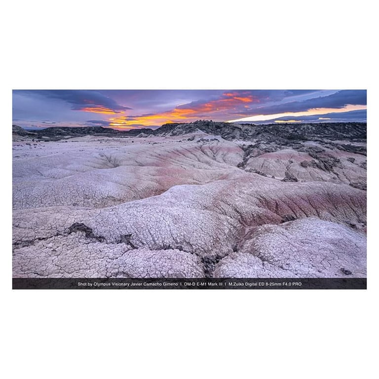 Objectif hybride OM System .Zuiko Digital ED 8 25mm f4 PRO - vue 4