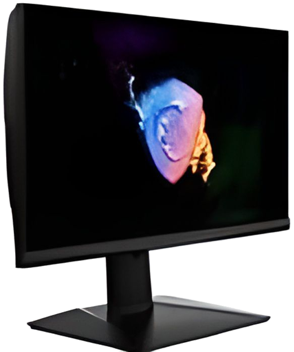 Ecran PC Gamer - MSI - Oculux NXG253R - 25 FHD - Dalle IPS - 1 MS - 360 Hz - Gsync, Pied réglable -