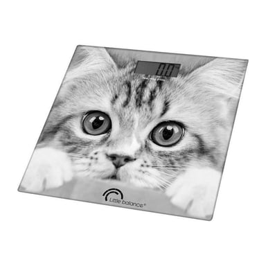 La bilancia Cat 180kg 100g