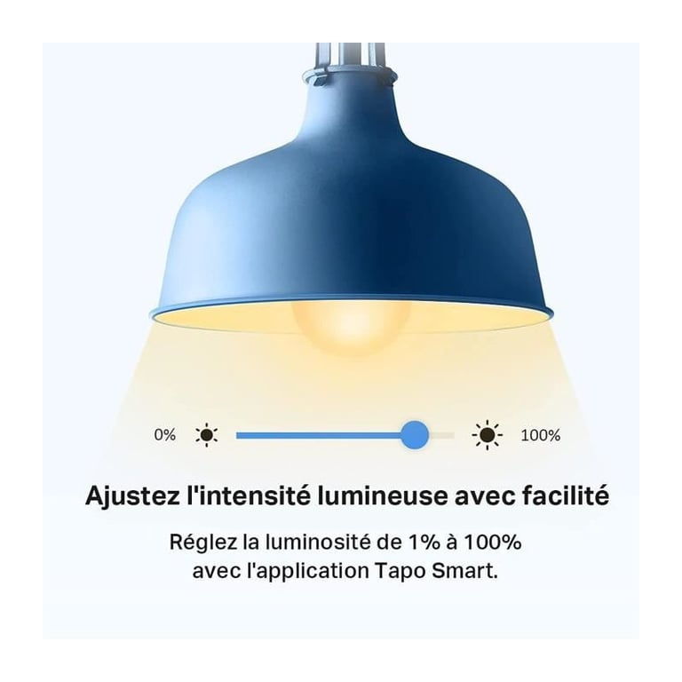 Ampoule intelligente Tp-Link Tapo L510E (paquet de 2)