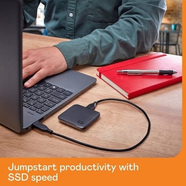 Western Digital WDBAYN0010BBK-WESN Unità esterna IC da 1 TB, nero