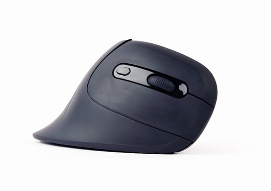 Gembird MUSW-ERGO-03 souris Maison Droitier RF sans fil Optique 1600 DPI