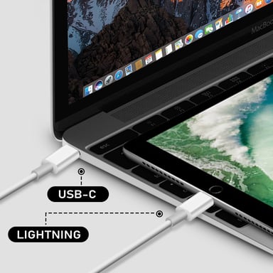 Chargeur Secteur USB-C 20W + Câble Lightning Power Delivery Original Apple Blanc