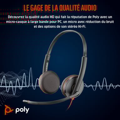 Poly Micro-casque stéréo Blackwire C3225 USB-C