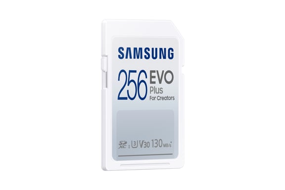 Samsung EVO Plus 256 Go SDXC UHS-I