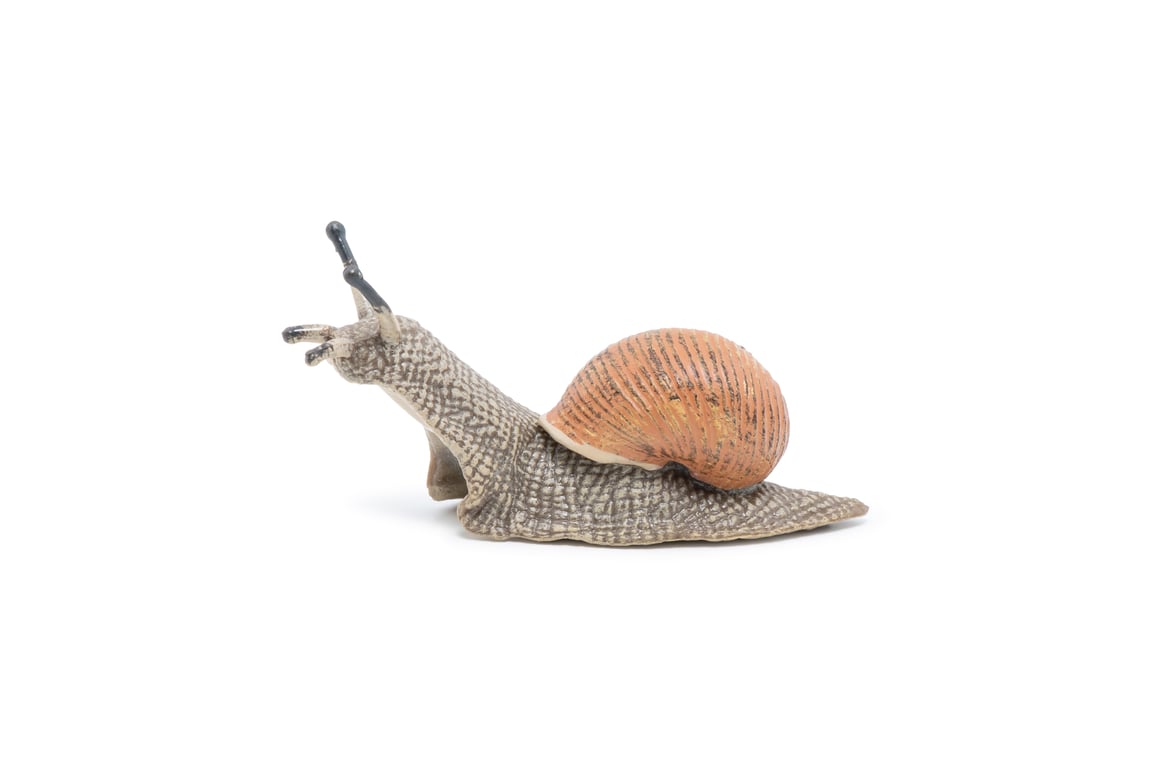 Papo Escargot Neuf - vue 2