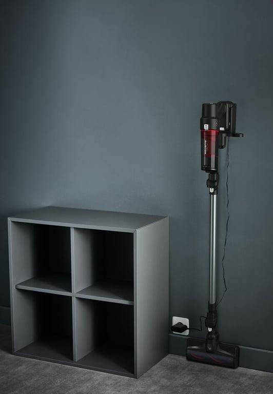 Aspirateur balai sans fil X Pert 7.60 Animal RH6A75WO - vue 6