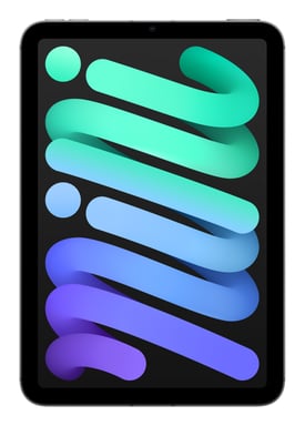 iPad mini 7 (8,3') 5G 256 GB, Grigio siderale