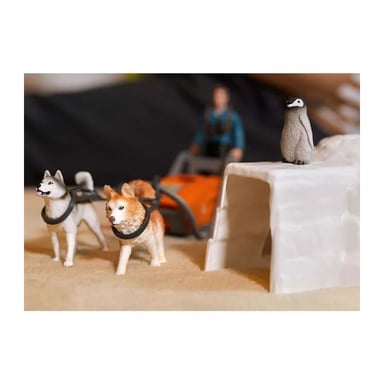 SCHLEICH - Spedizione antartica - 42624 - Gamma di animali selvatici