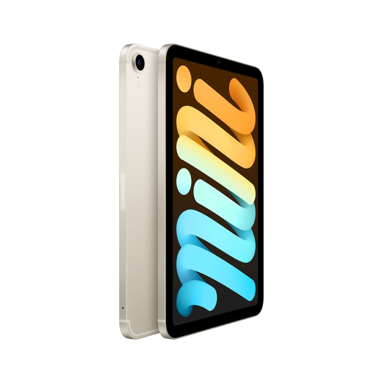 iPad Pro 12 WIFI + 4G 256gb (tercera generación 2018) - Tablets  reacondicionadas 