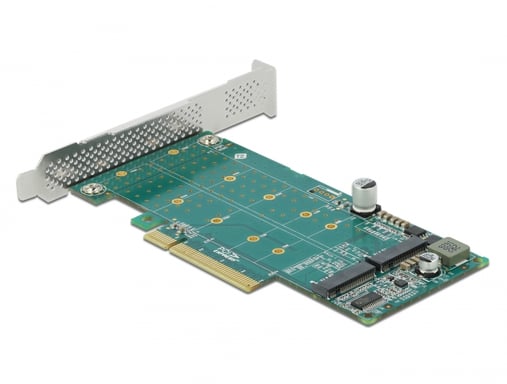 Scheda DeLOCK PCI Express x8 con 2 x NVMe M.2 Key M interni - Forking - Fattore di forma a basso profilo
