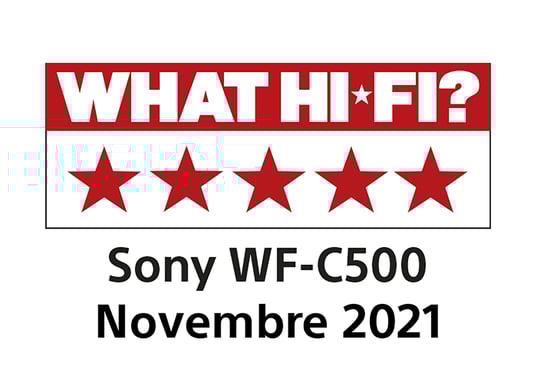 Sony WF-C500 Casque True Wireless Stereo (TWS) Ecouteurs Appels/Musique Bluetooth Noir