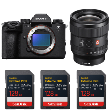 Appareil photo hybride Sony Alpha 1 II + FE 24mm f/1.4 GM + 3 SanDisk 128GB Extreme PRO UHS-II + Ebook ''20 astuces pour des images qui claquent''