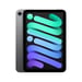 iPad mini 7 (8,3') 5G 256 GB, Grigio siderale