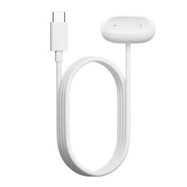 Google Fitbit Air Câble de charge USB-C - Neige