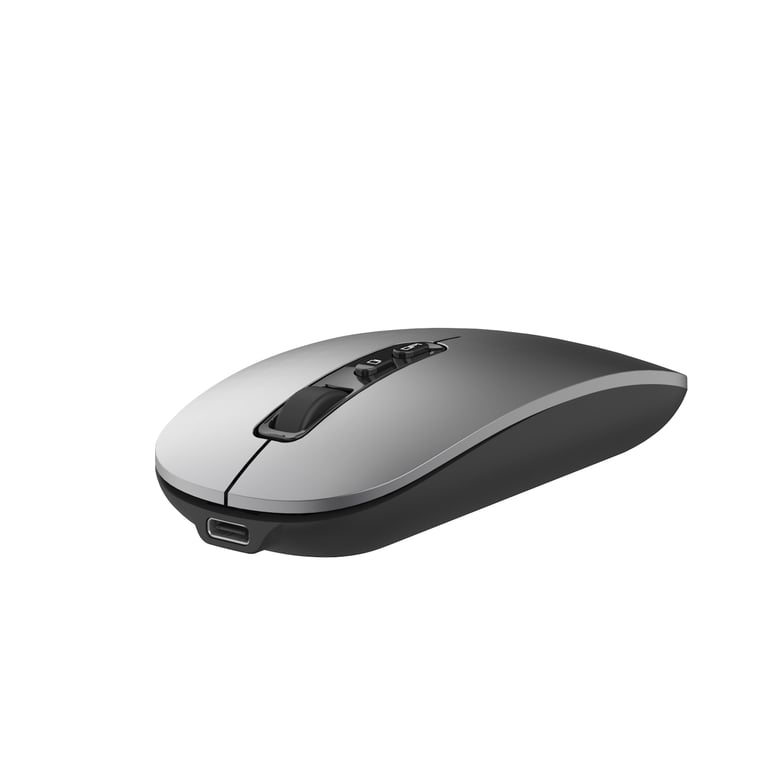 Souris Ewent EW3207 – Ergonomique Ambidextre RF + Bluetooth Optique 1600 DPI 6 Boutons - vue 2