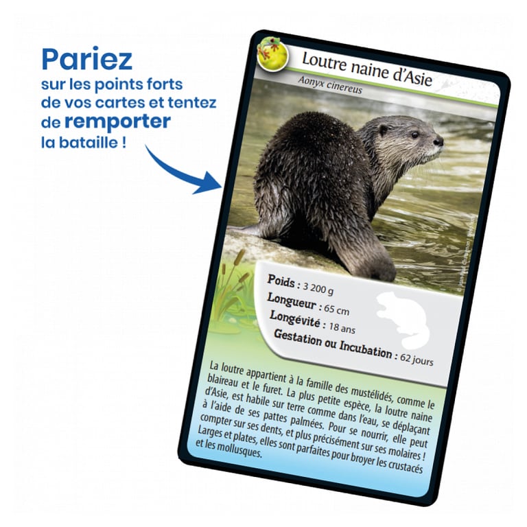 Jeu de cartes Défis Nature : Animaux d'eau douce - Apprenez en vous amusant! - Neuf