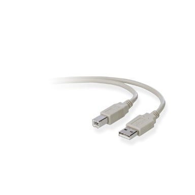 Belkin Cable USB A/B 1,8m USB 2.0 USB B Gris