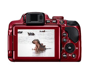 NIKON Coolpix B700 Appareil Photo Bridge Zoom X65 - vue 7