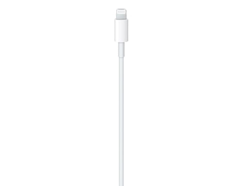 Câble Lightning vers USB-C (1 m)