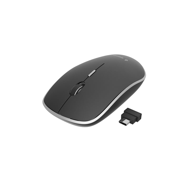 Gembird MUSW-4BSC-01 souris Ambidextre RF Wireless + USB Type-C Optique 1600 DPI - Neuf