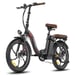 E-bike  FAFREES F20+ Pro - Motor 250W Batería 36V22.5Ah Neumáticos De 20 Pulgadas Frenos Mecánicos De Disco - Negro