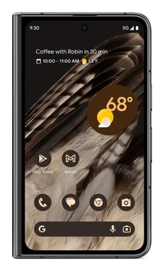 Google Pixel Fold (5G) 256 Go, Noir