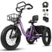 Triciclo eléctrico ESKUTE T302 Pro, 250 W, 48 V 20,8 Ah, con bolsa para teléfono, espejos retrovisores y candado de combinación - Violeta