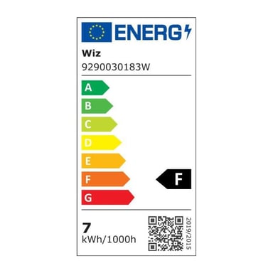 WiZ Globe 95 vintage variabile bianco E27 50W lampadina connessa