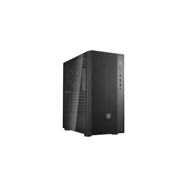 SILVERSTONE Fara R1 V2 Medium Tour Case - negro