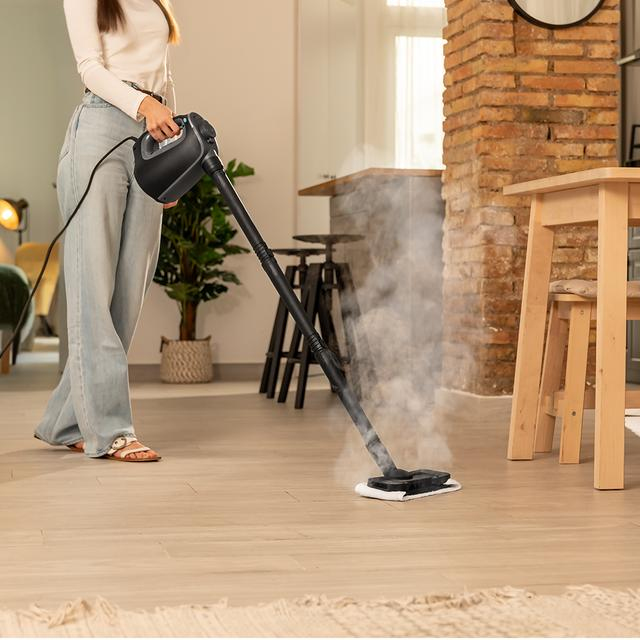 Cecotec 00644 nettoyeur vapeur Nettoyeur vapeur portable 0,55 L 1350 W Noir, Bleu - Neuf