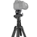 SmallRig 4307 trépied Action-cam (caméras sportives) 3 pieds Noir