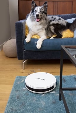 ROWENTA RR7387WH X-Plorer Serie 50 Aspirador robótico, Navegación metódica, Aspira y lava suelos, Kit para mascotas + alergias, Conn