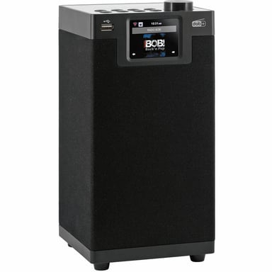 Radio stereo DAB+ / FM / Internet / Bluetooth Funzione multitouch DABMAN i610