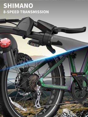 Duotts E26 Vélo électrique - Moteur 750W Batterie 48V20AH 26*4.0 Pouces Pneus Larges Freins Hydrauliques Avant et Arrière -  Vert Violet