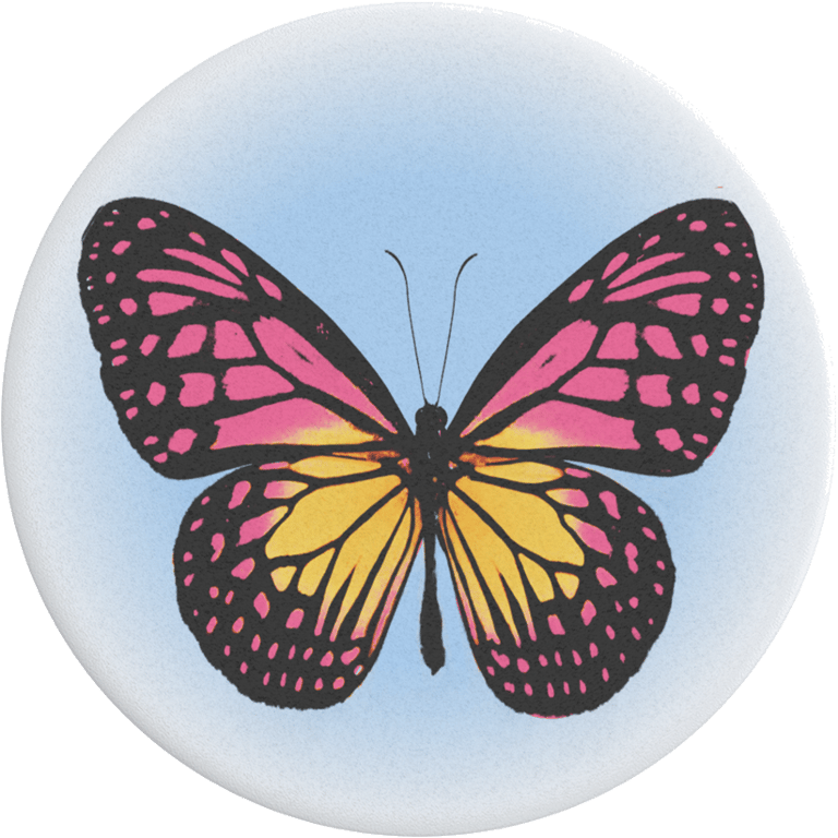 PopSockets Grip Wings of Desire colourful